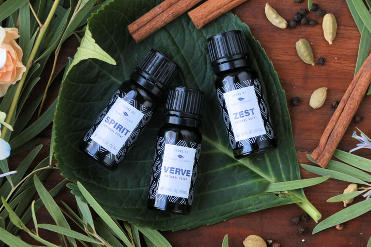 Plant Therapy Evoke Spirit Verve Zest All Natural Fragrance Essential Oils
