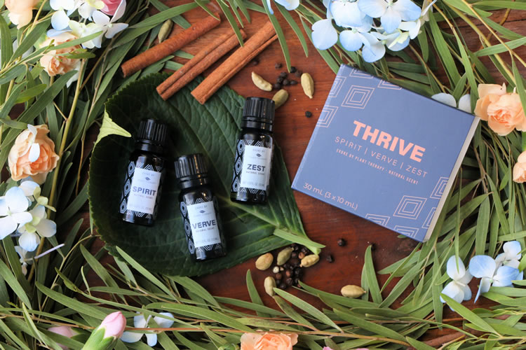 Plant Therapy Evoke Thrive Collection Spirit Verve Zest All Natural Fragrance Essential Oils