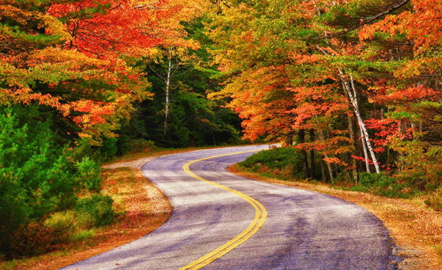 northeast road trip in fall