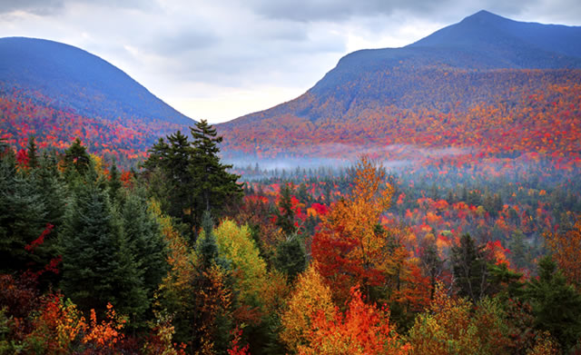 How to Plan a Fall Foliage Road Trip - Southern Curls & Pearls