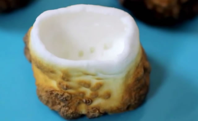 Toasted Marshmallow Shot Glass Better Living