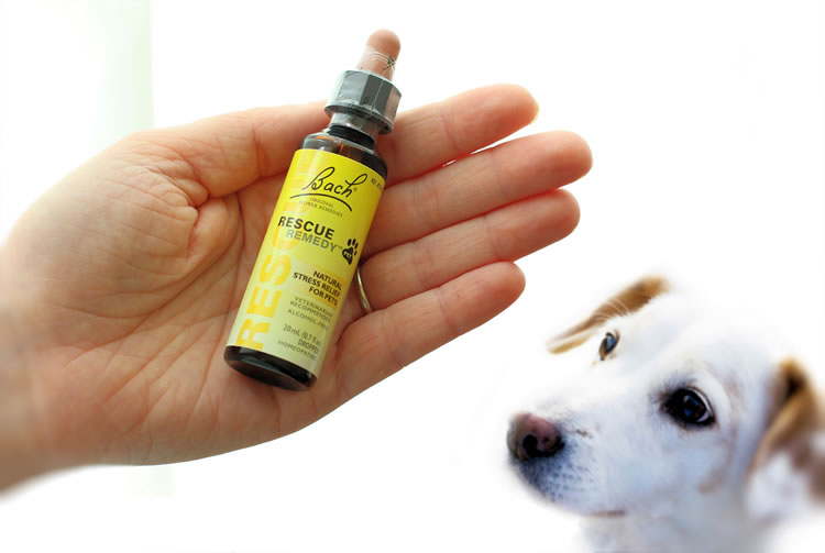 Bach Rescue Pet Remedy Review