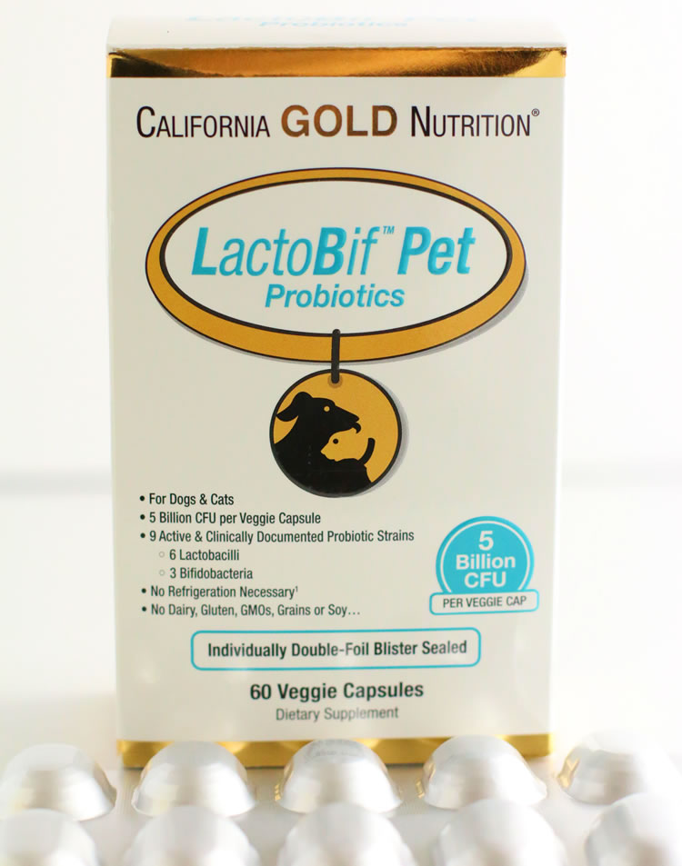 LactoBif Pet Probiotics Review