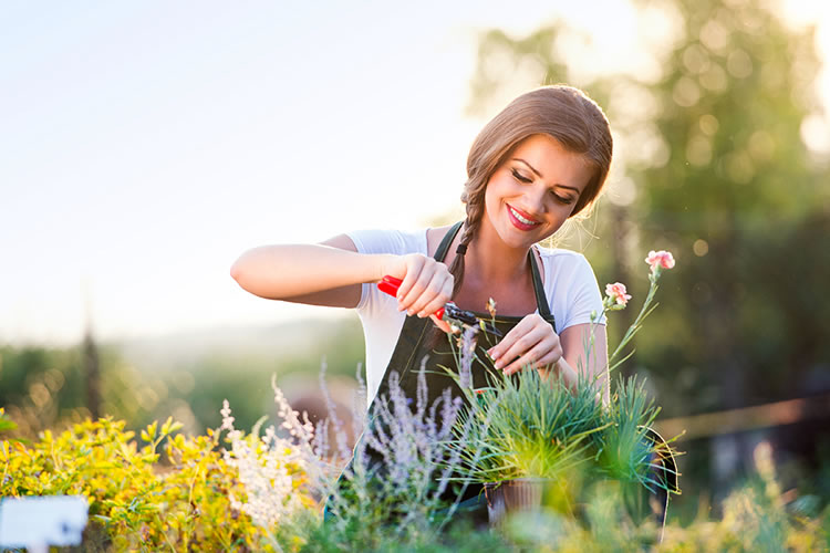 Tame Your Garden and 10 Ways To Reduce Allergies This Pollen Season