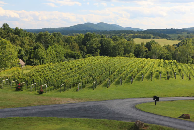 Winery with clearance hotel near me