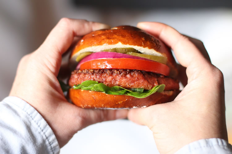 Beyond Meat Plant Based Vegetarian Burger