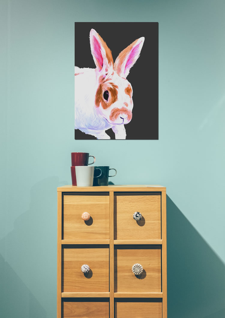 white and brown rabbit on a black background Displate poster print