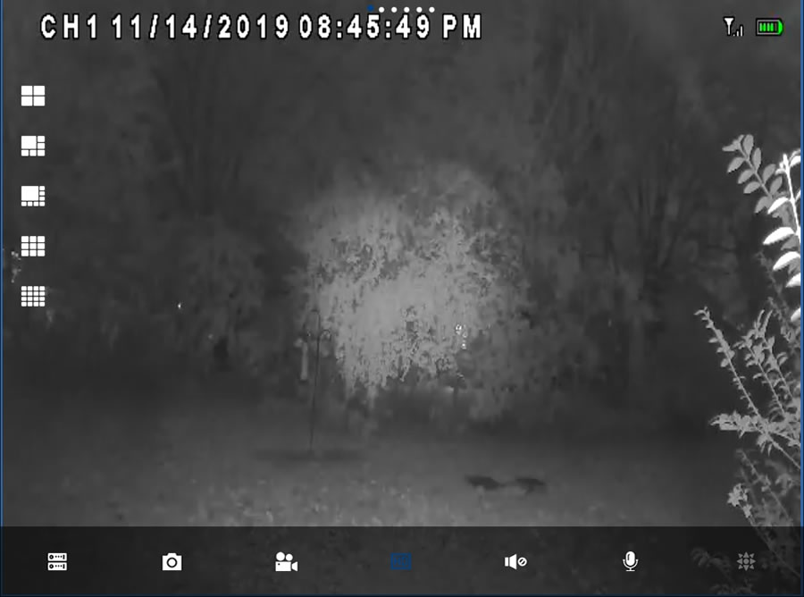 night vision shot of a backyard from Lorex wireless camera security system