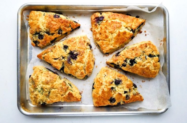 blueberries scones on a parchment line tray