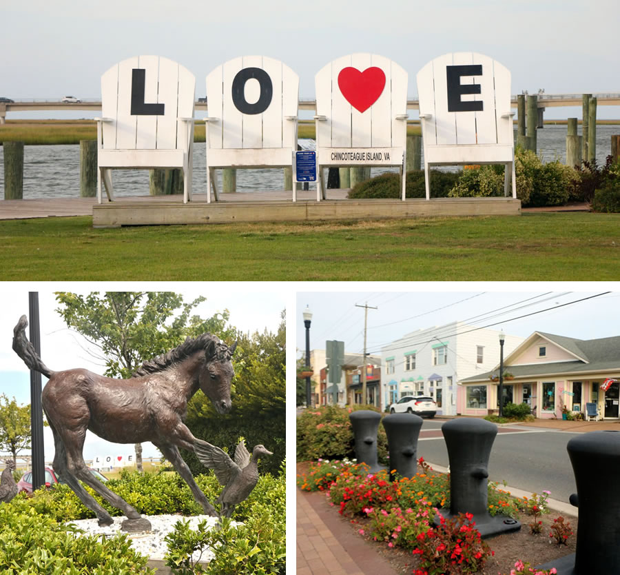The Town of Chincoteague Virginia