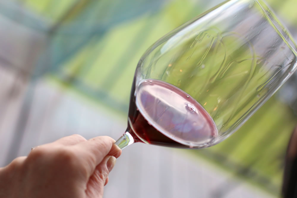 a hand holding a glass of red wine with legs in front of a window