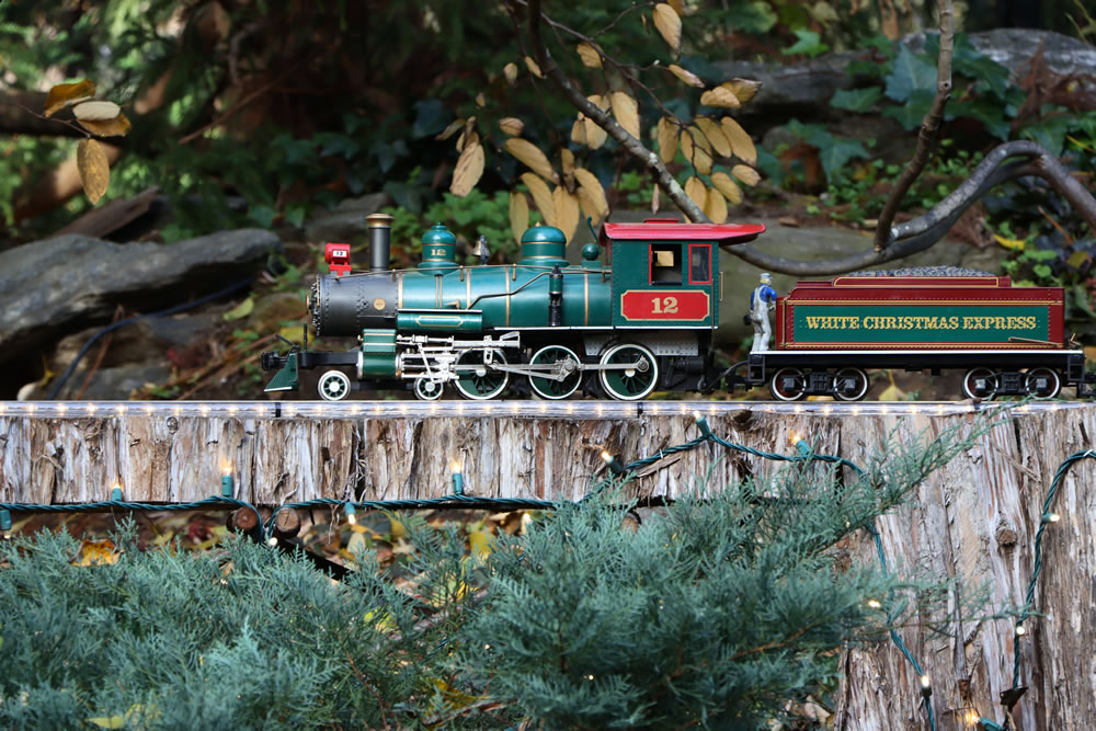 Morris Arboretum Holiday Garden Railway