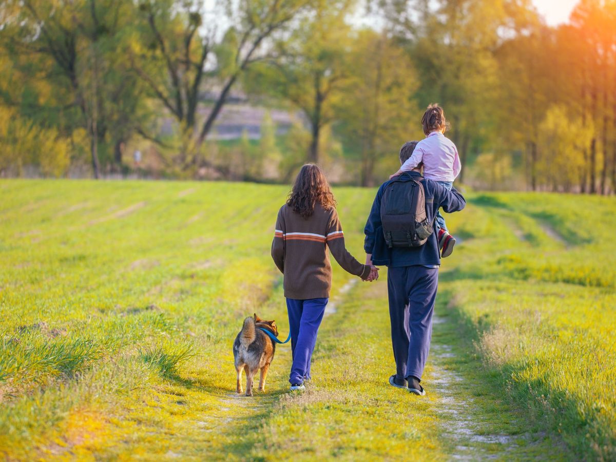 A family walking their dog