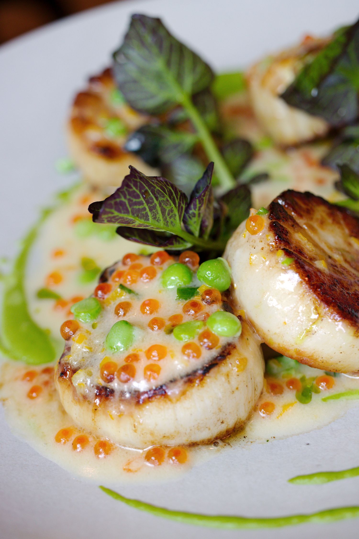Seared jumbo scallops with greens and roe at Ruse