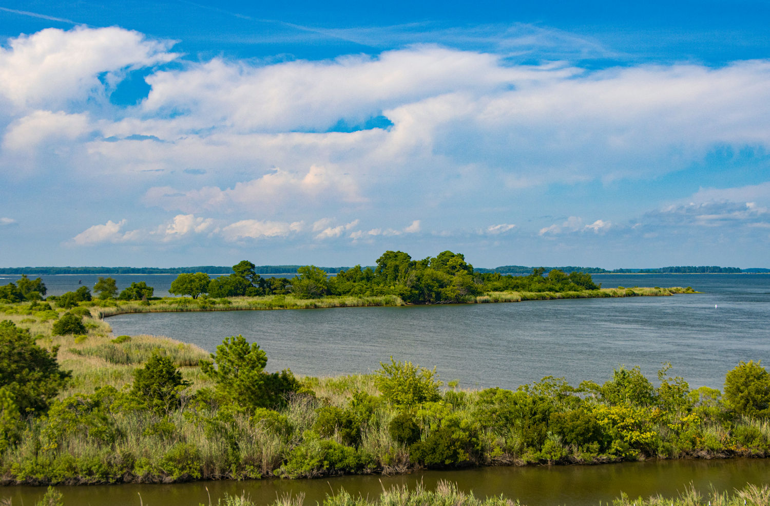 The water and sky view from the observation deck at Chesapeake Heritage and Visitor Center