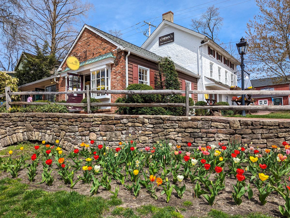 Tulips in bloom around the shops at Peddler's Village