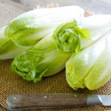 Bunches of endive on a chopping block with a knife
