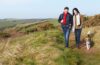 A man and woman walking a dog along a rolling hillside