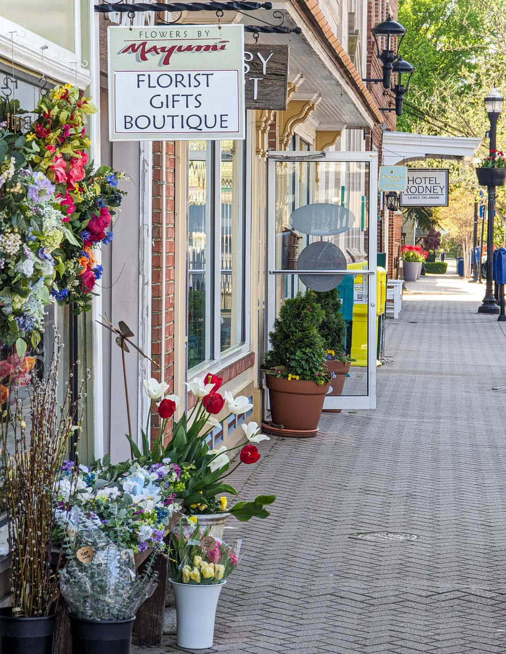 The quaint town of Lewes, Delaware. The many shops in town.