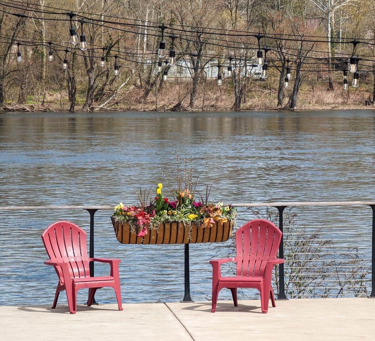 Two chairs and flowers along the delaware river