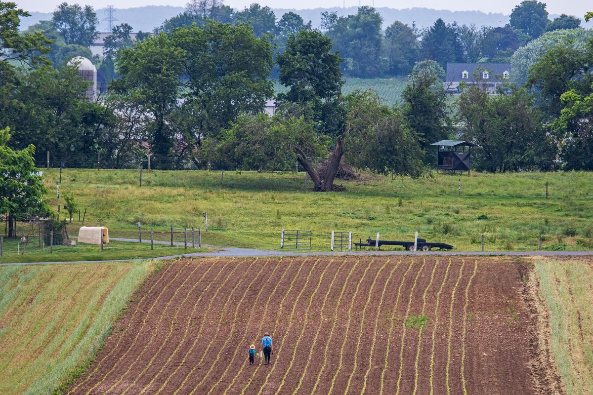 A wide view of a farm field with two Amish farmers, one adult and one child, walking through freshly plowed rows. The background features lush green trees, farm buildings, and rolling hills.