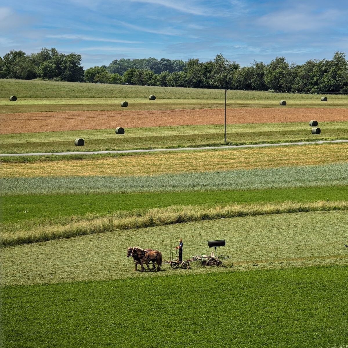 A rural landscape with fields of different crops in various shades of green and brown. In the foreground, two horses are pulling a farm implement across a field. The background shows more fields, hay bales, and a line of trees under a blue sky with wispy clouds.