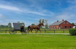 An Amish horse-drawn buggy traveling on a paved road past a red barn. The buggy is black with a single brown horse pulling it. The red barn is visible in the background, surrounded by green fields and fencing. The sky is blue with light clouds.