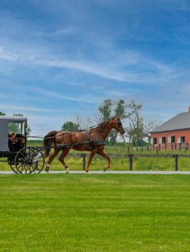 An Amish horse-drawn buggy traveling on a paved road past a red barn. The buggy is black with a single brown horse pulling it. The red barn is visible in the background, surrounded by green fields and fencing. The sky is blue with light clouds.