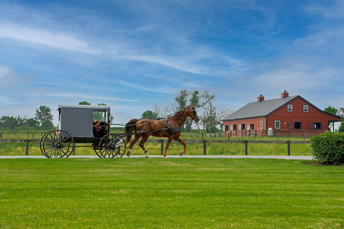 An Amish horse-drawn buggy traveling on a paved road past a red barn. The buggy is black with a single brown horse pulling it. The red barn is visible in the background, surrounded by green fields and fencing. The sky is blue with light clouds.