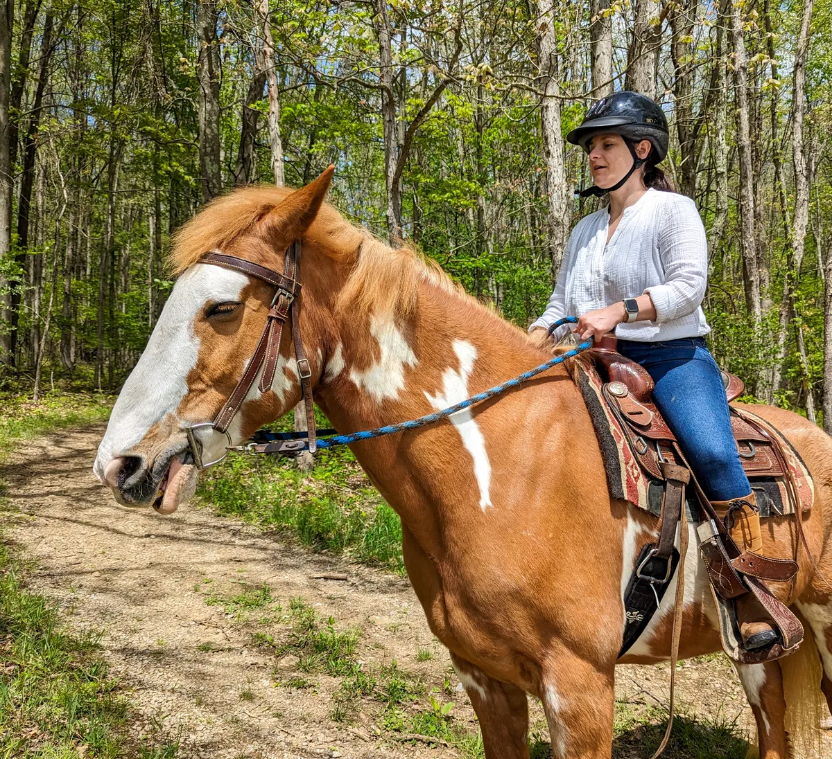 Tour the scenic beauty of the Pennsylvania Laurel Highlands on horseback at Nemacolin. A woman on a horse on wooded trail. 