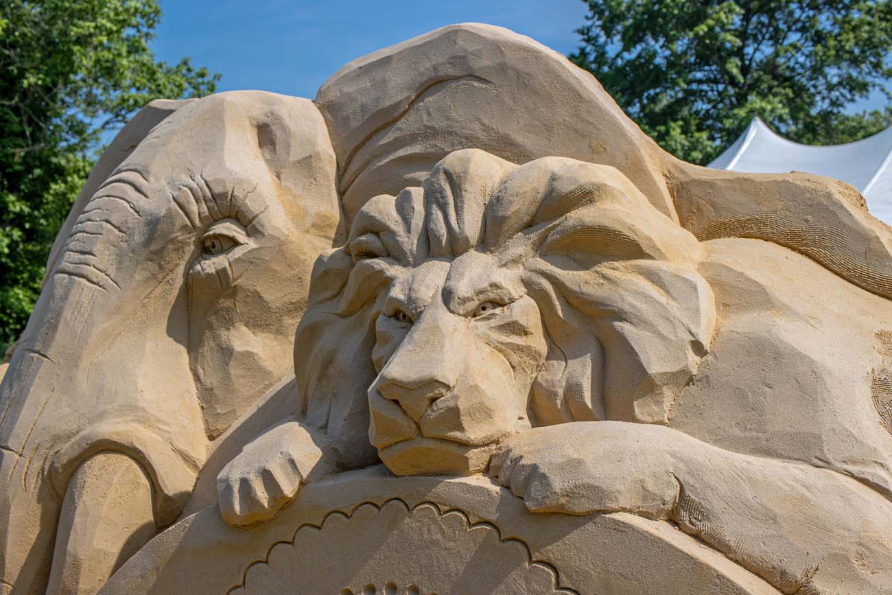 Close-up view of masterfully carved sand sculpture showing a majestic lion's head and mane alongside an elephant, displaying intricate texture work and realistic facial features against clear blue sky