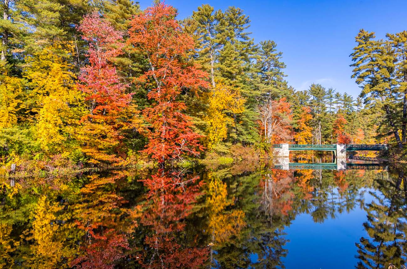 A serene autumn landscape with vibrant foliage and a calm river in NH.