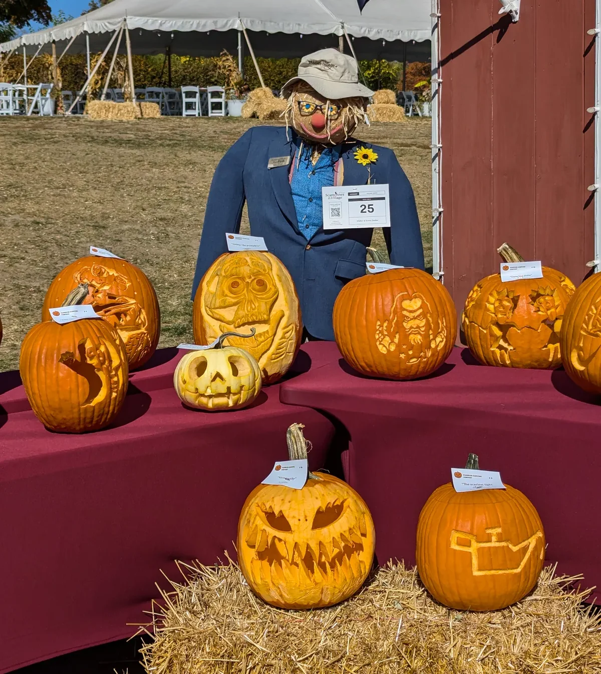 A selection of carved pumpkins on a table with a scarecrow for a jack-o-lantern content at Peddler's Village in PA