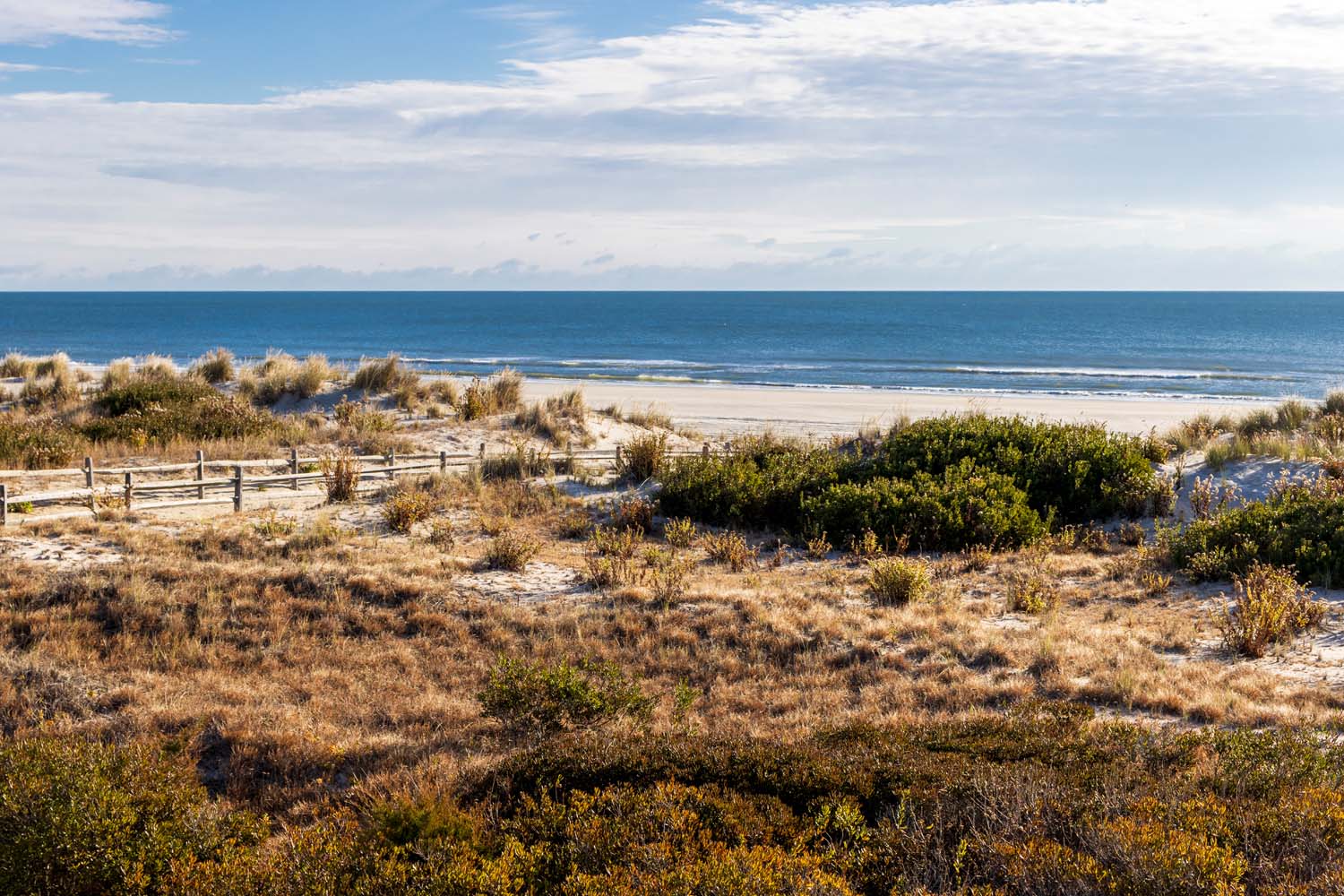 Winter beach landscape showing sand dunes with golden beach grass, wooden fence, and the deep blue Atlantic Ocean under a bright winter sky