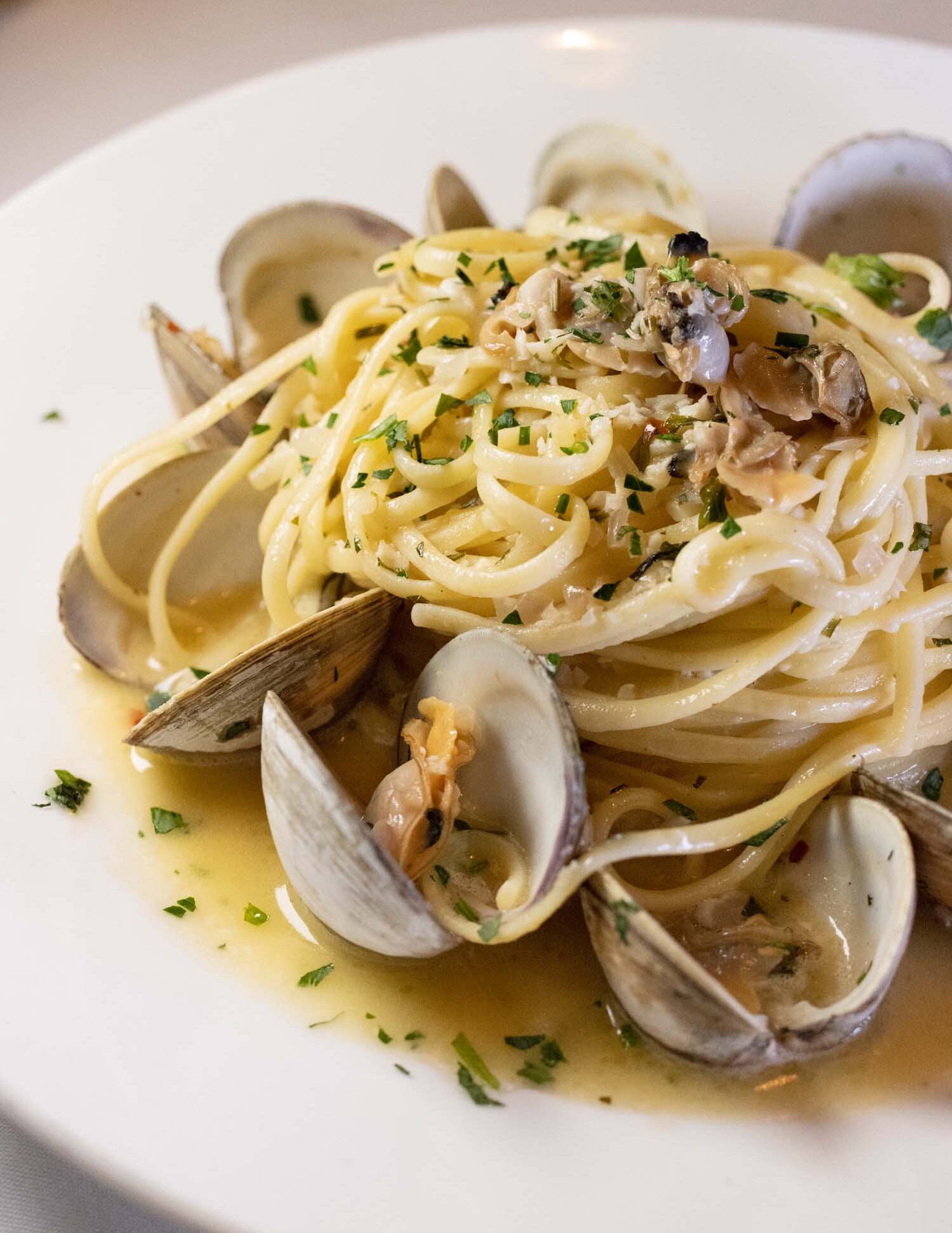 Fresh linguini pasta tossed in garlic white wine sauce with Manila clams, fresh parsley, and Calabrian chili, served with open clam shells on a white plate