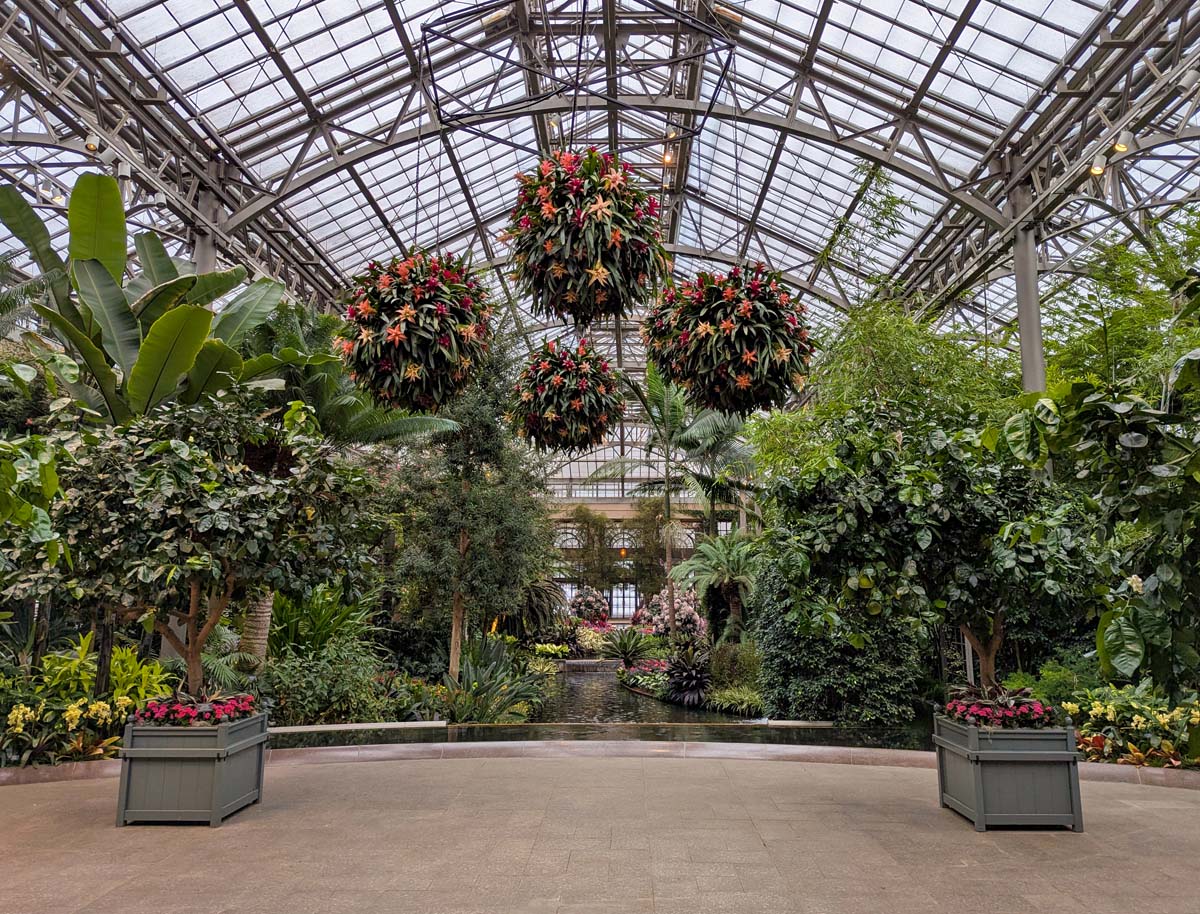 The interior of Longwood Gardens' magnificent conservatory greenhouse featuring a lush tropical display. Hanging from the soaring glass and steel ceiling structure are three large spherical arrangements of bromeliads and orchids with vibrant orange and red flowers. Below, a central water feature runs through a garden path flanked by diverse tropical plants including banana trees, palms, ferns, and flowering specimens. The glass-paneled roof allows natural light to flood the space, creating a bright, verdant atmosphere. Planters with pink and yellow flowers add splashes of color at the entrance to the pathway.