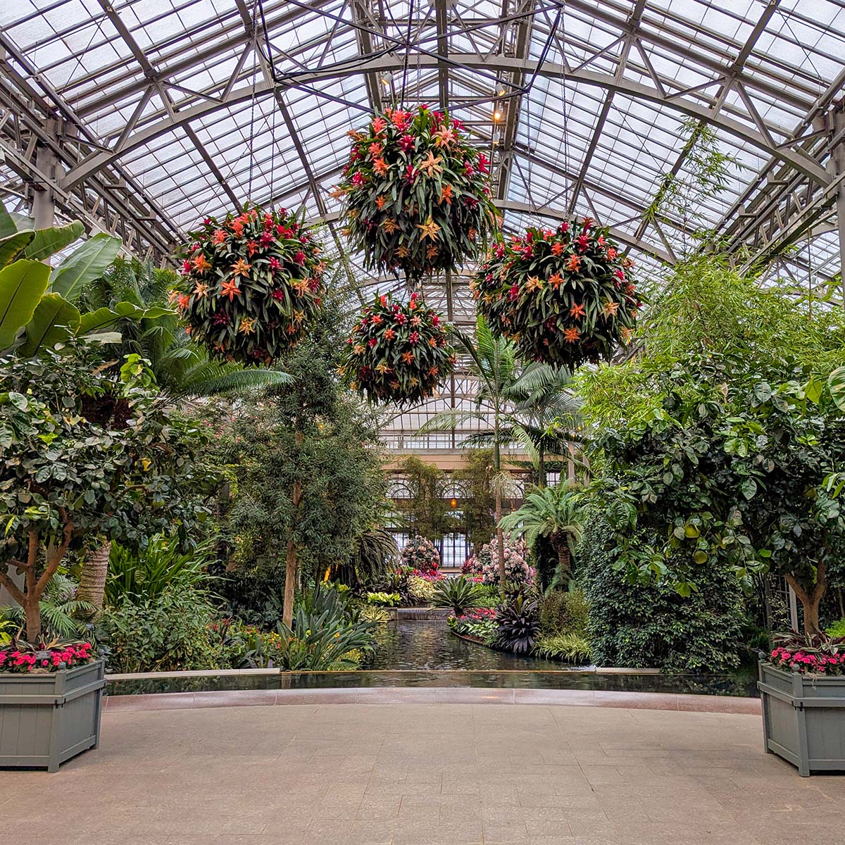 A greenhouse interior with large hanging baskets of red and orange flowers, tropical plants, and a reflecting pool