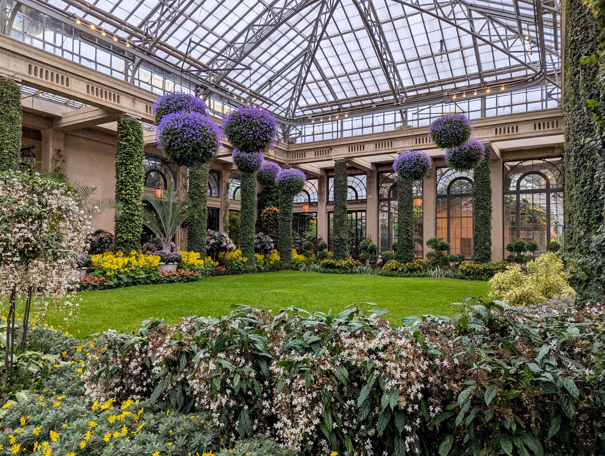 A lush indoor garden at Longwood Gardens' Conservatory District, featuring a glass ceiling, ivy-wrapped columns, and vibrant floral displays.