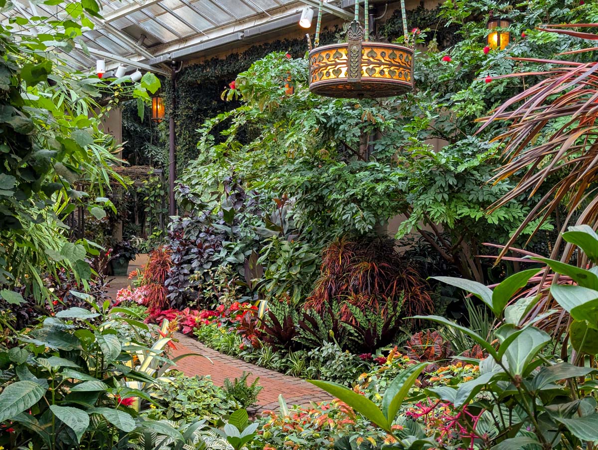 A winding brick pathway through dense tropical plantings, illuminated by ornate bronze pendant lights with amber glow. Diverse foliage including red-tinged plants, broad-leafed tropicals, and flowering specimens create a layered garden effect.