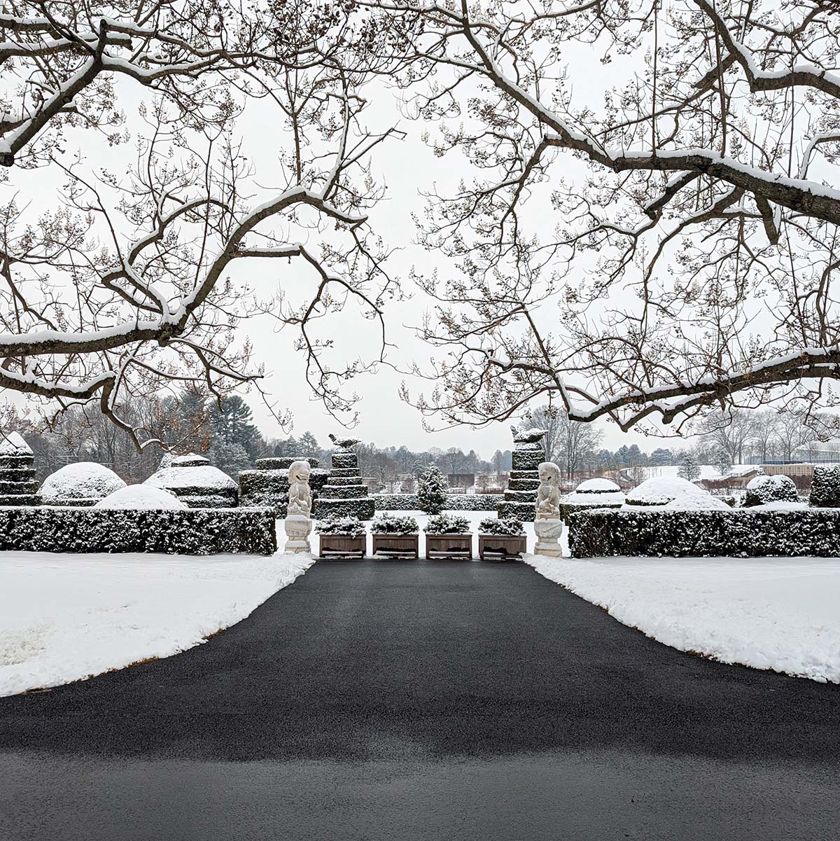 A symmetrical formal garden entrance featuring a wide black asphalt path leading to a row of planters. Two classical stone statues flank the entrance. The path is framed by precisely manicured hedges and topiary covered in snow, creating geometric shapes and levels. Overhead, bare tree branches create an intricate natural canopy against the white winter sky. The composition is strikingly geometric, with the dark path contrasting sharply against the snow-covered landscape.