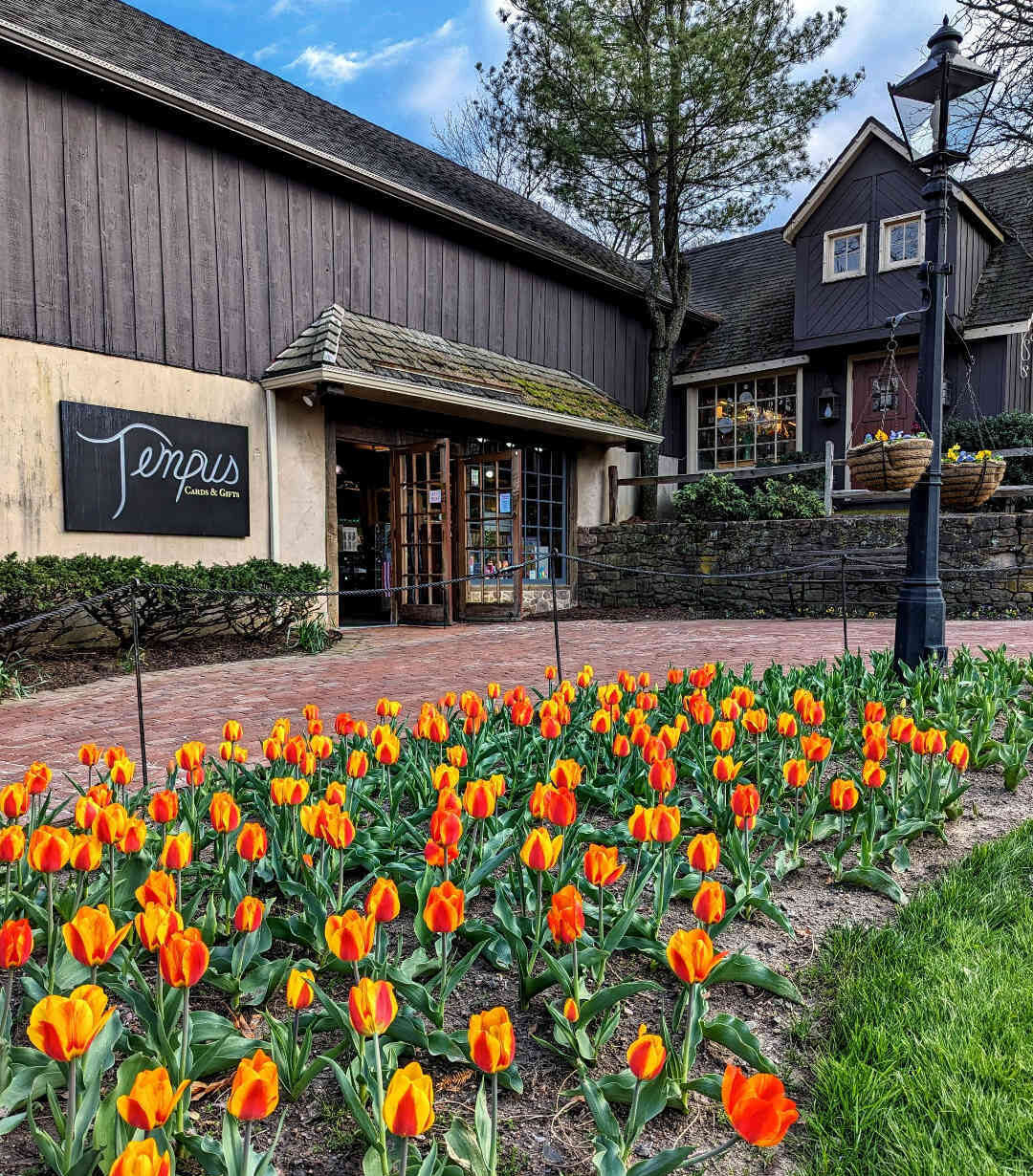 Tempus Gifts exterior at Peddler's Village with spring tulips in bloom.