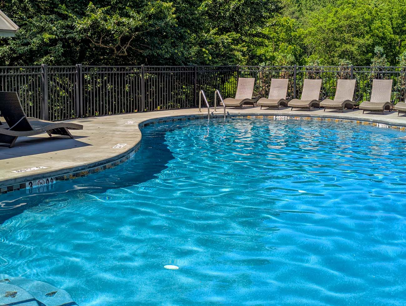 Large blue swimming pool with stone coping surrounded by lounge chairs, bordered by black fencing and dense woodland, creating a private aquatic retreat