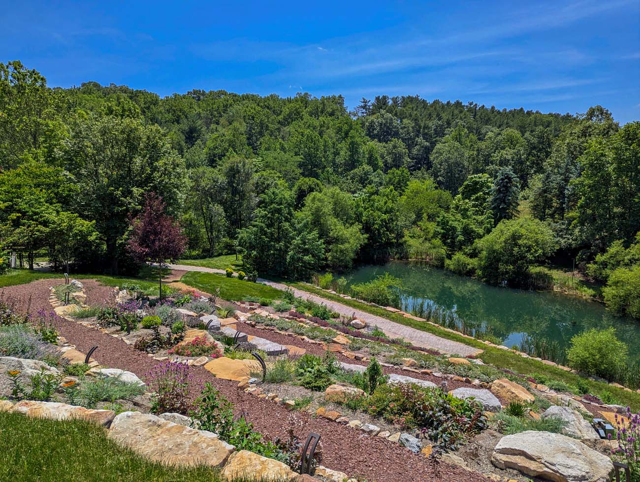 erraced garden beds with various plants and vegetables arranged among natural boulders, overlooking a peaceful pond surrounded by dense forest canopy under a blue sky