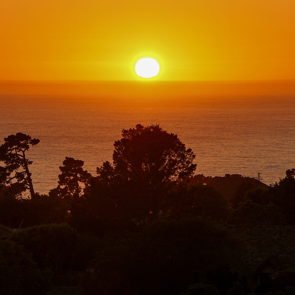 Sunset over the Pacific Ocean with a brilliant orange and yellow sky, silhouetted trees in the foreground, and calm ocean waters stretching to the horizon