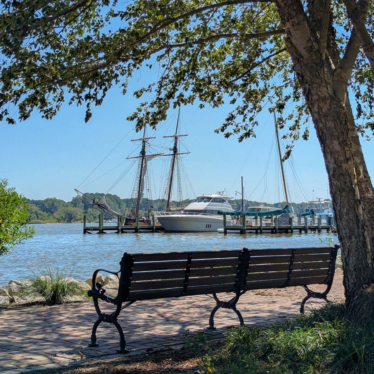 Brampton 1860 Review: A Timeless Retreat on the Eastern Shore 26 A peaceful waterfront view in historic Chestertown showing tall ships and pleasure boats docked along the Chester River, with a park bench under shade trees.