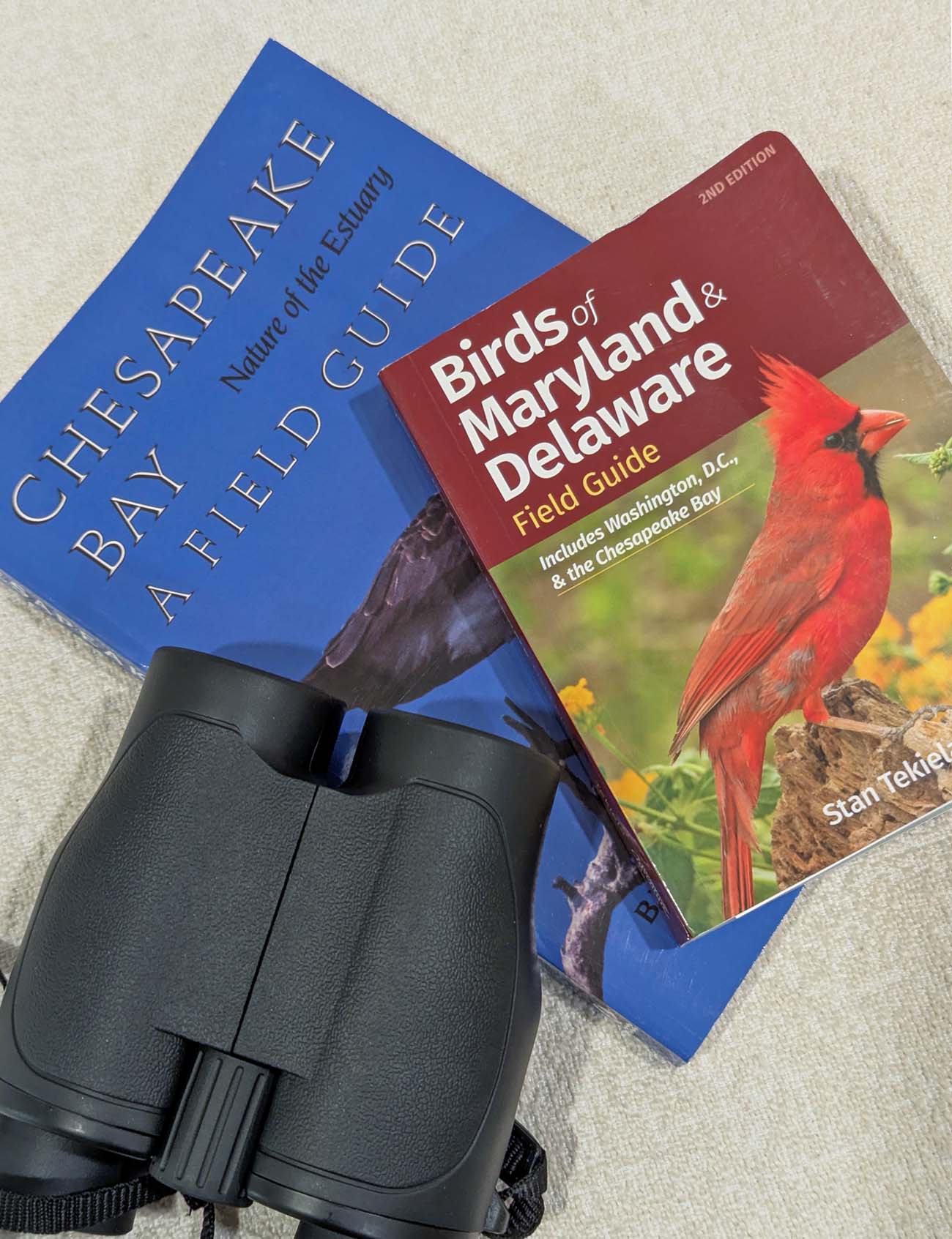 Birdwatching equipment arranged on neutral carpet including black binoculars, blue "Chesapeake Bay Nature of the Estuary Field Guide" book, and red "Birds of Maryland & Delaware Field Guide" featuring a bright red cardinal on the cover. The guides are specifically focused on local Chesapeake Bay area wildlife.