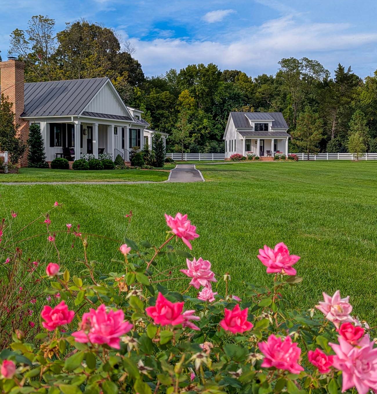 Two modern farmhouse-style cottages with white siding, dark roofs, and covered porches set on expansive green lawn. Vibrant pink roses bloom in the foreground, and mature trees frame the background. A paved walkway connects the buildings, and white outdoor furniture is visible on the lawn, creating an idyllic waterfront resort setting.