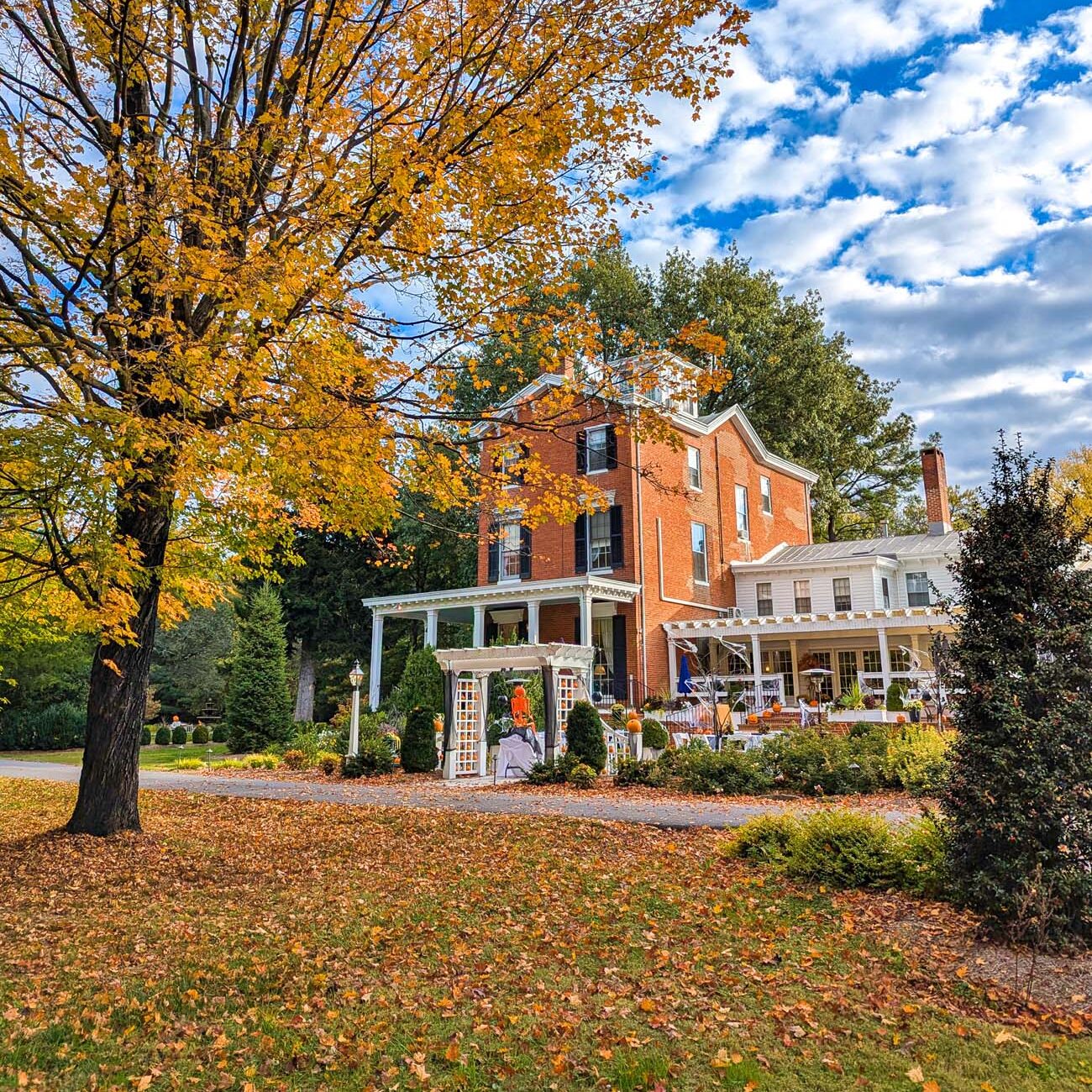 Food, Wine, and Fall Fun at Brampton 1860 - Chestertown, MD 8 Brampton 1860's three-story red brick Georgian manor house with white columned porch surrounded by vibrant orange and yellow fall foliage under blue sky with puffy clouds