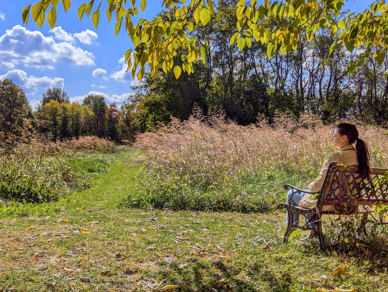Food, Wine, and Fall Fun at Brampton 1860 - Chestertown, MD 48 Woman in tan jacket sitting on ornate metal bench overlooking golden meadow with tall grasses, yellow-green leaves framing the top of image, mixed forest with fall colors in background under blue sky with white clouds
