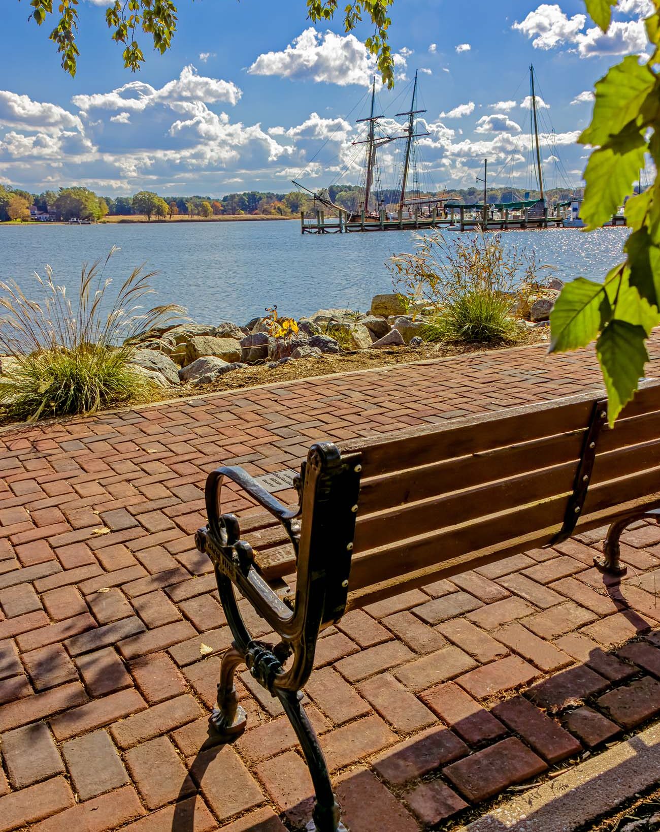 Scenic view of the Chester River waterfront in Chestertown, Maryland, framed by overhanging tree branches with bright green leaves. A wooden park bench with ornate cast iron arms sits on a brick paver walkway in the foreground. Natural landscaping with ornamental grasses and rocks lines the water's edge. In the middle distance, a historic tall ship with two masts is docked at a wooden pier alongside modern sailboats. The river stretches wide under a brilliant blue sky filled with puffy white clouds, with tree-lined shores visible on the opposite bank.